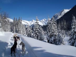Dogsledding